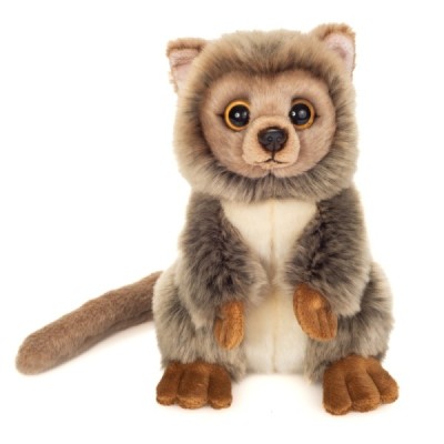 Mouse lemur sitting 21 cm