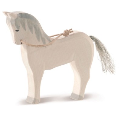 Horse white