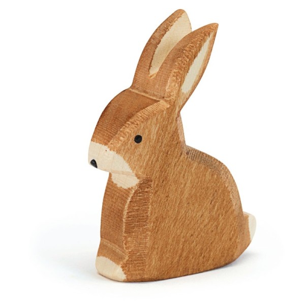 Hare sitting