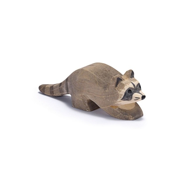 Raccoon small