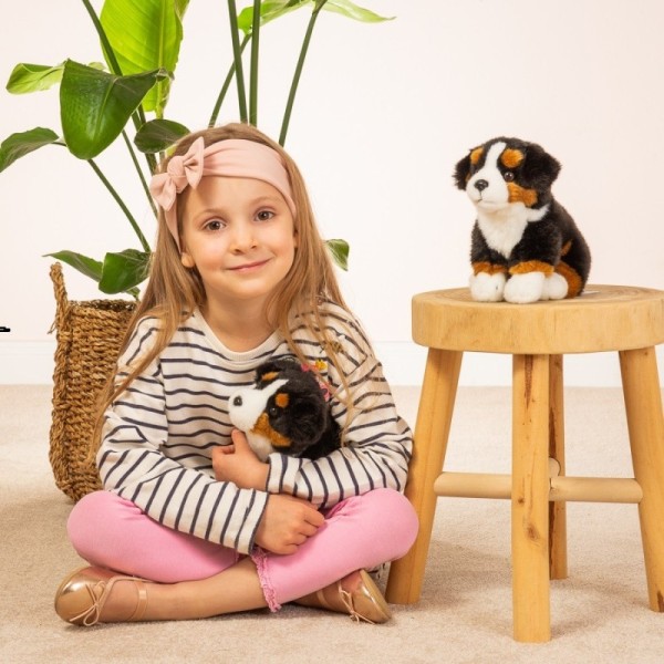 Bernese Mountain Dog sitting 21 cm