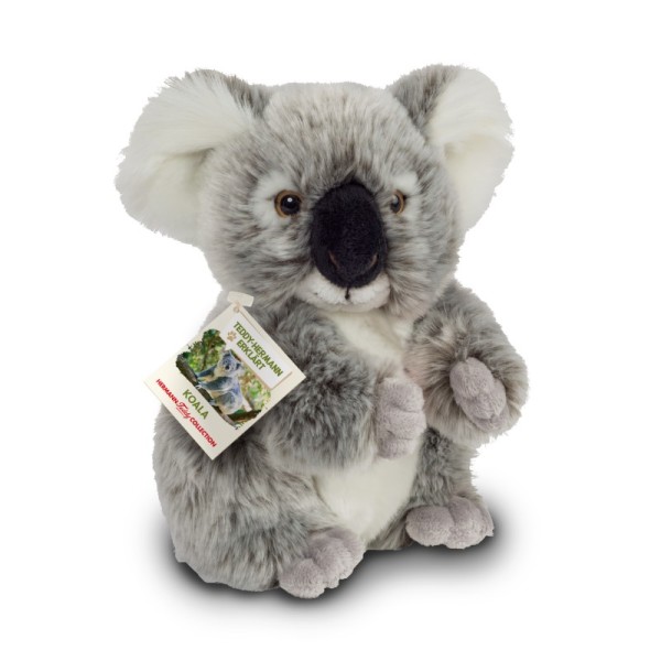 Orso Koala 21 cm