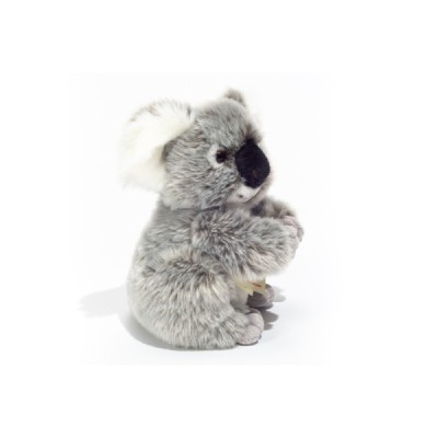 Orso Koala 21 cm