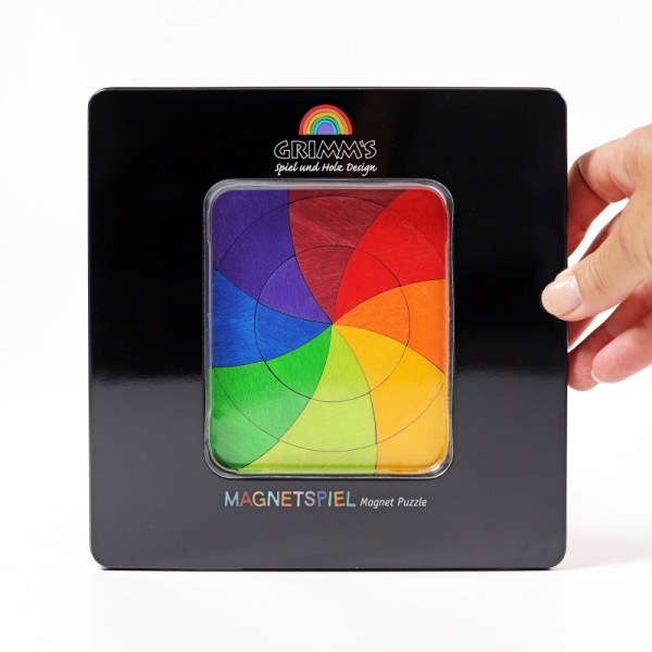 Goethe color wheel magnetic game