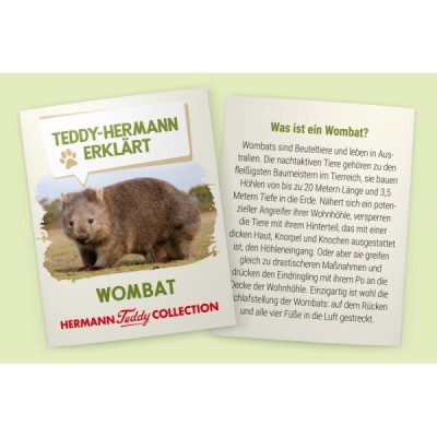 Wombat 26 cm