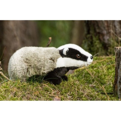 Badger 30 cm