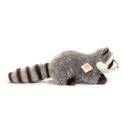 Raccoon 29 cm