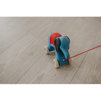 Elefant Otto
