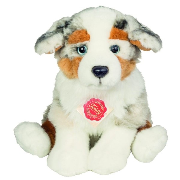 Australian Shepherd Welpe sitzend 22 cm