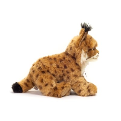 Lince 26 cm