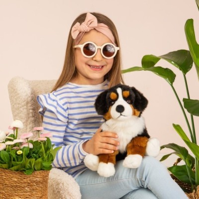 Bernese Mountain Dog sitting 29 cm