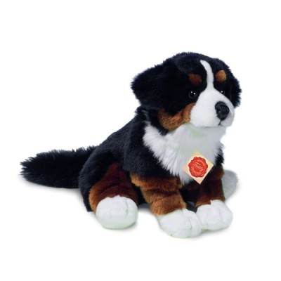 Bernese Mountain Dog sitting 29 cm