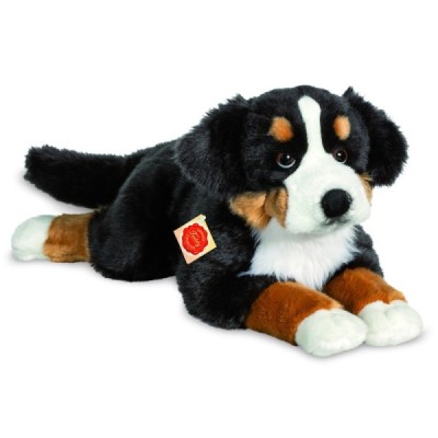 Berner Sennenhund liegend 60 cm