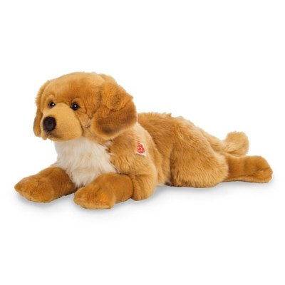 Golden Retriever amber colored 60 cm