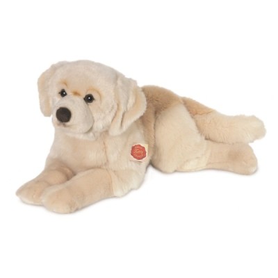 Golden Retriever lying down 60 cm