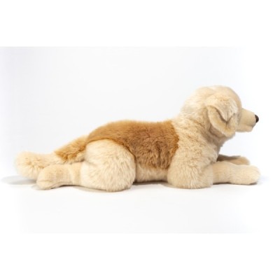 Golden Retriever liegend 60 cm