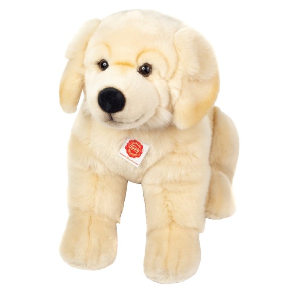 Golden Retriever sitzend 50 cm