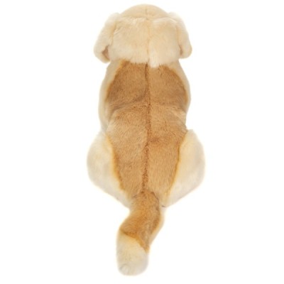 Golden Retriever sitzend 50 cm