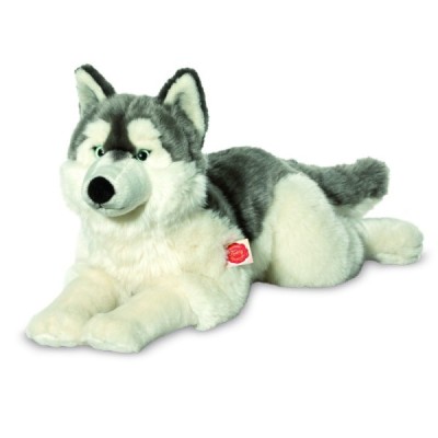 Husky lying 60 cm