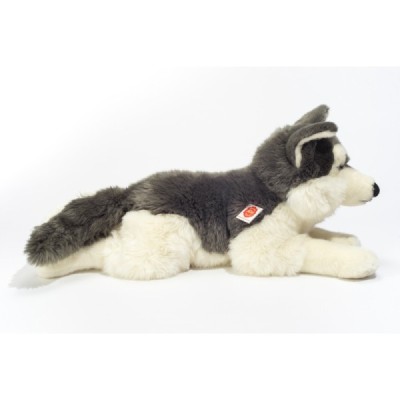 Husky lying 60 cm