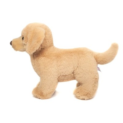 Golden Retriever in piedi 30 cm