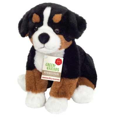 Bernese Mountain Dog sitting 26 cm