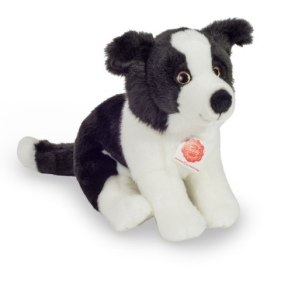 Border Collie Welpe sitzend 25 cm