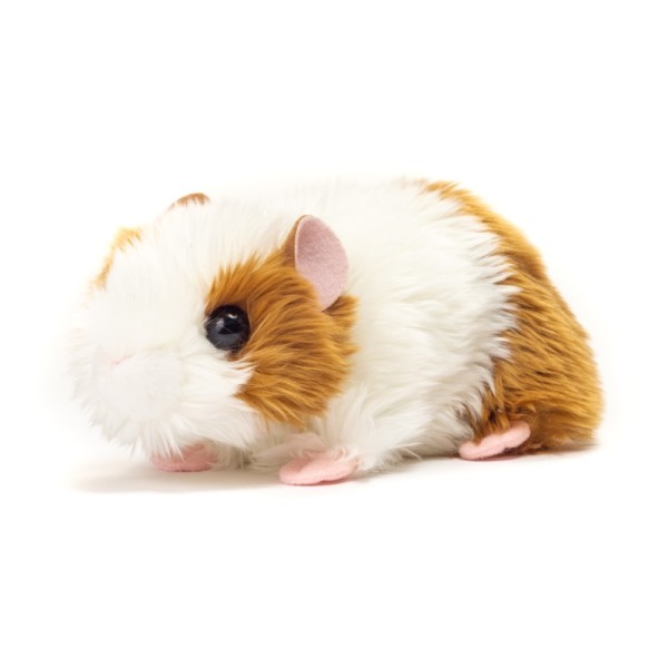 Guinea pig gold/white 18 cm