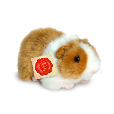 Guinea pig gold/white 20 cm