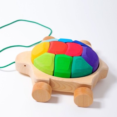 Rainbow turtle