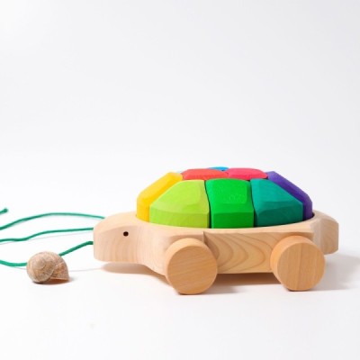 Rainbow turtle